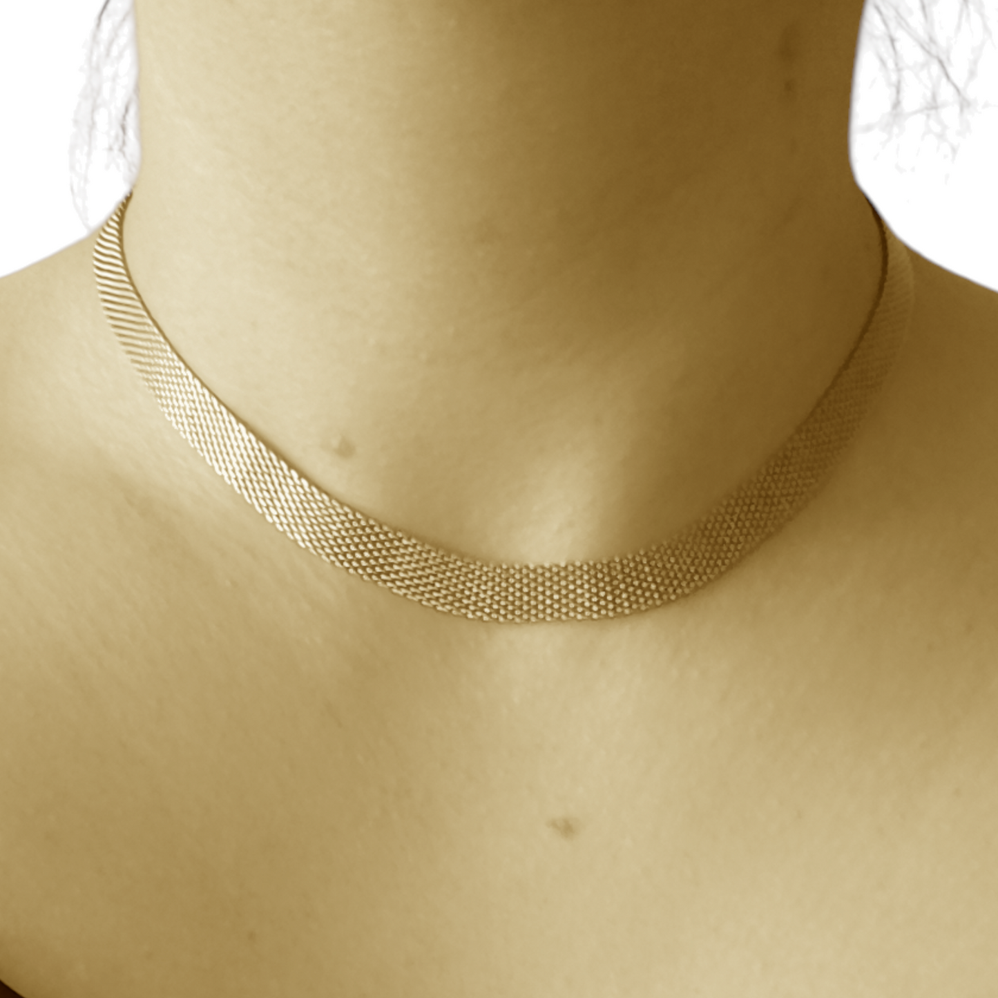 NEW Collier Diana